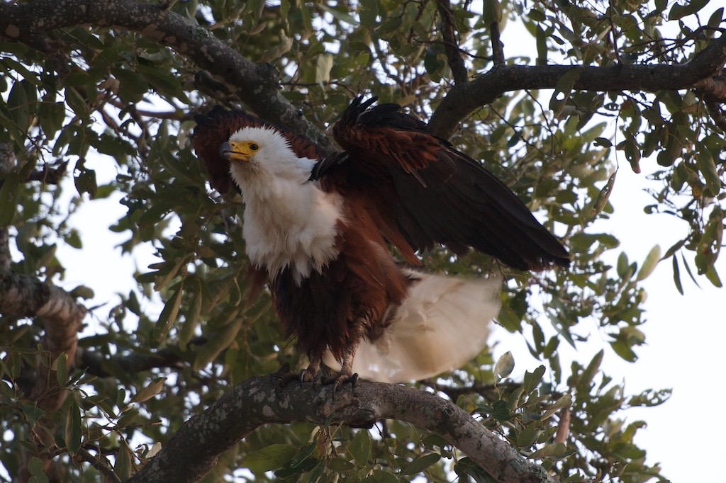 _DSC4625 - Arbeitskopie 2 - 2014-07-21 um 06-42-47