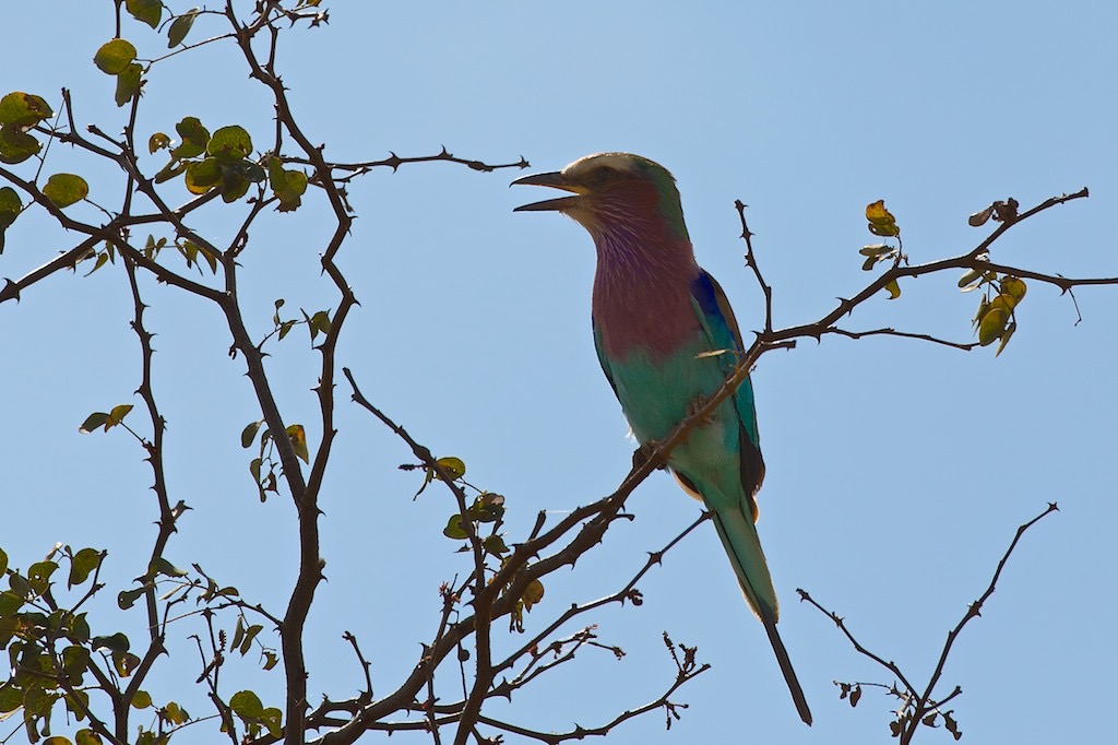 _DSC4721 - Arbeitskopie 3 - 2014-07-21 um 12-19-49