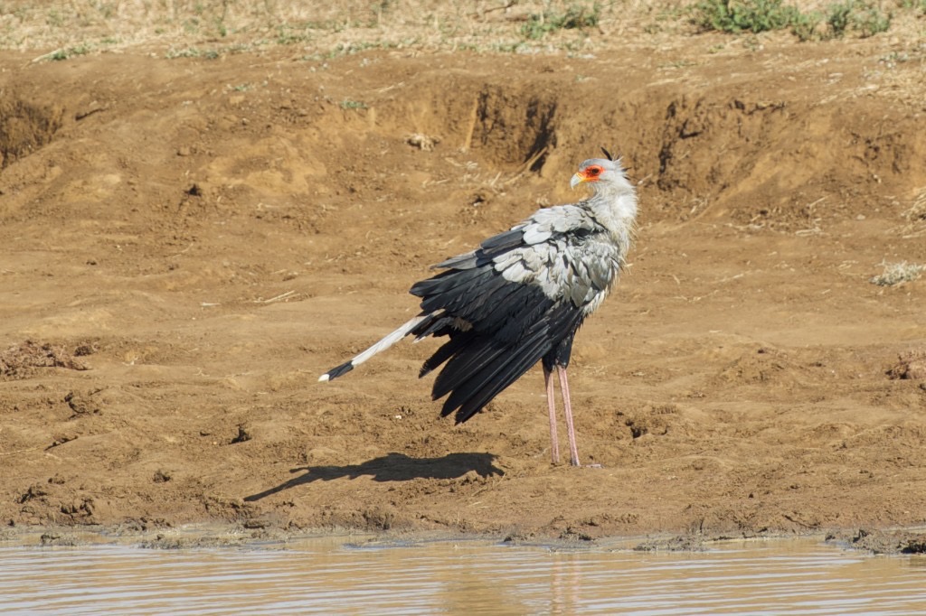 _DSC5925 - Arbeitskopie 2 - 2014-07-26 um 10-53-43