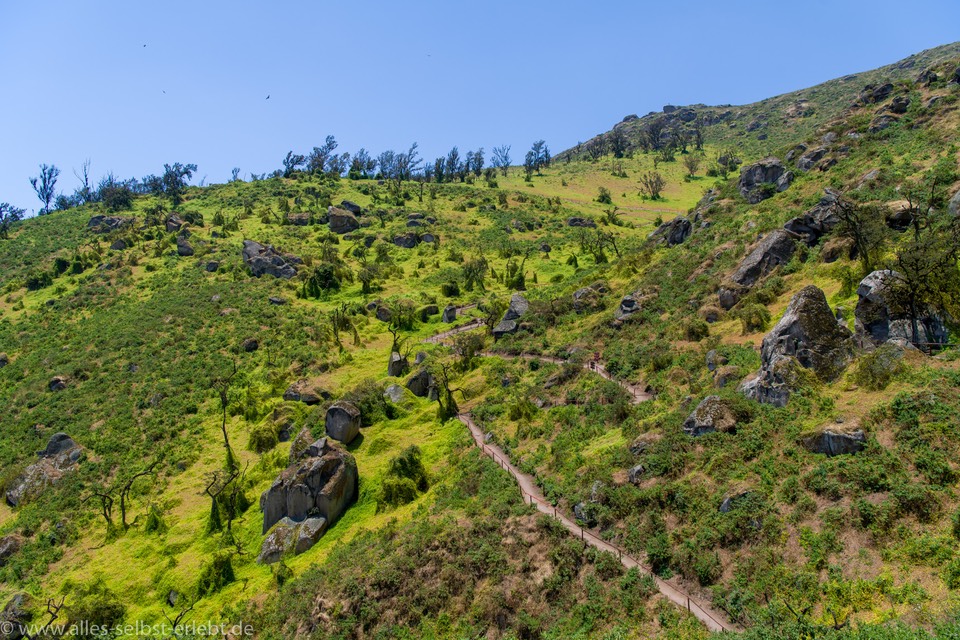 07_D850347_1720