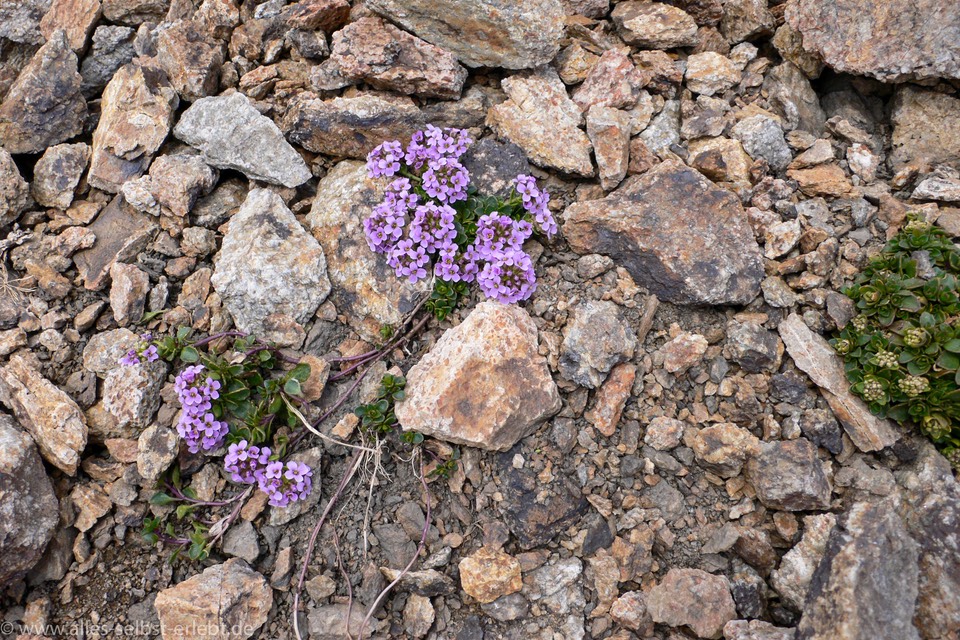 06_Url_P1050020_1920