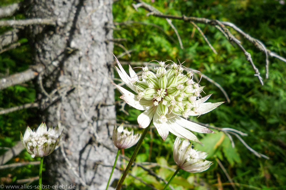 14_Url_P1000935_1920