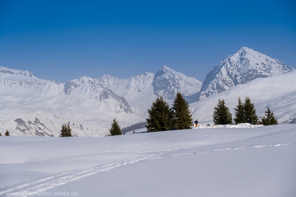 16_Z625910_1960