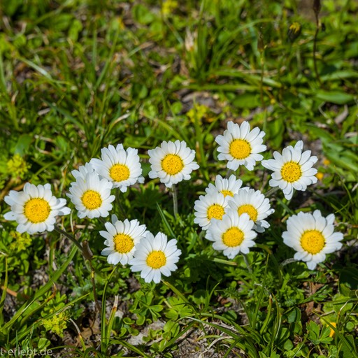 25__Z615112_1720